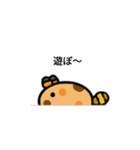 ハムスターニダ（個別スタンプ：6）