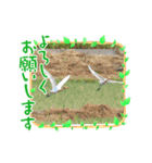 野鳥のさえずり②（個別スタンプ：1）