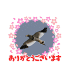 野鳥のさえずり②（個別スタンプ：2）