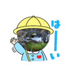 野鳥のさえずり②（個別スタンプ：19）