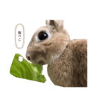 ぽけーっとしたうしゃぎしゃん（個別スタンプ：5）