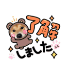 柴犬ふくの日常スタンプ第5弾♪♪（個別スタンプ：11）