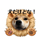 柴犬ふくの日常スタンプ第5弾♪♪（個別スタンプ：20）