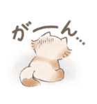 たぬハリ家族（個別スタンプ：15）