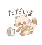 たぬハリ家族（個別スタンプ：21）