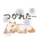 たぬハリ家族（個別スタンプ：24）