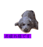 トイプのけーちゃん！！敬語も使えるよ！（個別スタンプ：2）