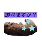 トイプのけーちゃん！！敬語も使えるよ！（個別スタンプ：23）
