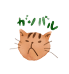 ちょねこ（個別スタンプ：11）