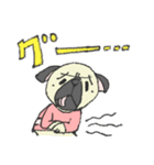 パグ犬プルーちゃん（個別スタンプ：3）