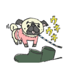 パグ犬プルーちゃん（個別スタンプ：7）