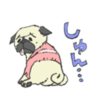パグ犬プルーちゃん（個別スタンプ：10）