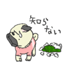 パグ犬プルーちゃん（個別スタンプ：13）