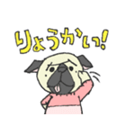 パグ犬プルーちゃん（個別スタンプ：15）