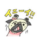 パグ犬プルーちゃん（個別スタンプ：20）