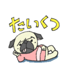 パグ犬プルーちゃん（個別スタンプ：21）