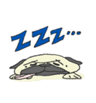 パグ犬プルーちゃん（個別スタンプ：24）
