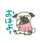 パグ犬プルーちゃん（個別スタンプ：25）