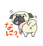 パグ犬プルーちゃん（個別スタンプ：27）