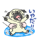 パグ犬プルーちゃん（個別スタンプ：28）