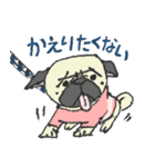 パグ犬プルーちゃん（個別スタンプ：30）