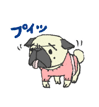 パグ犬プルーちゃん（個別スタンプ：36）