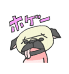パグ犬プルーちゃん（個別スタンプ：37）