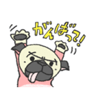 パグ犬プルーちゃん（個別スタンプ：39）