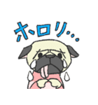 パグ犬プルーちゃん（個別スタンプ：40）