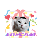 やんちゃな息子にゃ（個別スタンプ：4）