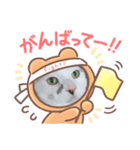 やんちゃな息子にゃ（個別スタンプ：6）