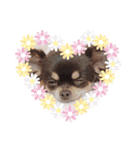 ここ♡くれあ（個別スタンプ：6）