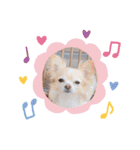 ここ♡くれあ（個別スタンプ：9）