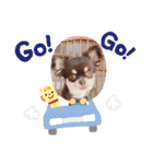 ここ♡くれあ（個別スタンプ：18）