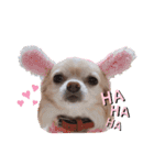 ここ♡くれあ（個別スタンプ：21）