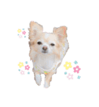 ここ♡くれあ（個別スタンプ：23）