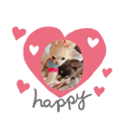 ここ♡くれあ（個別スタンプ：29）