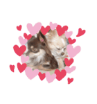 ここ♡くれあ（個別スタンプ：31）