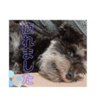 心春とココ 2（個別スタンプ：2）