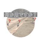 心春とココ 2（個別スタンプ：3）