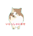 アンちゃんの言葉（個別スタンプ：1）