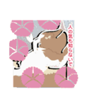 アンちゃんの言葉（個別スタンプ：2）