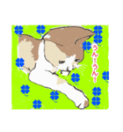 アンちゃんの言葉（個別スタンプ：6）