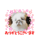 「うさカフェりび」全員集合（個別スタンプ：1）