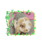 「うさカフェりび」全員集合（個別スタンプ：2）