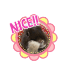 「うさカフェりび」全員集合（個別スタンプ：16）