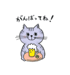 MORISの看板猫かもめ（個別スタンプ：21）