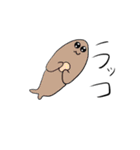 あざらしくん1（個別スタンプ：15）