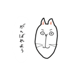 顔長めの猫たち（個別スタンプ：8）