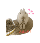 ましろおもち産直毎日スタンプ2（個別スタンプ：2）